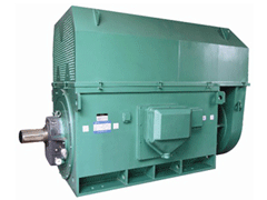 日土Y系列6KV高压电机